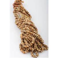 Palm Seed Rosary, 99 Rosary - 12 Pieces